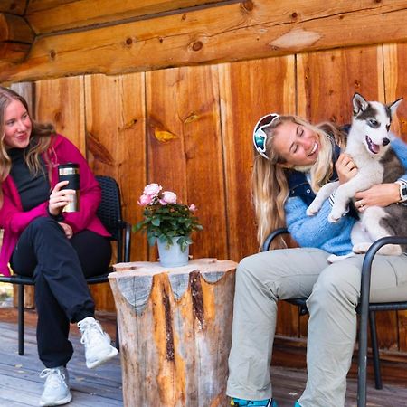 Jotunheimen Husky Lodge Randsverk Dış mekan fotoğraf
