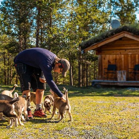 Jotunheimen Husky Lodge Randsverk Dış mekan fotoğraf