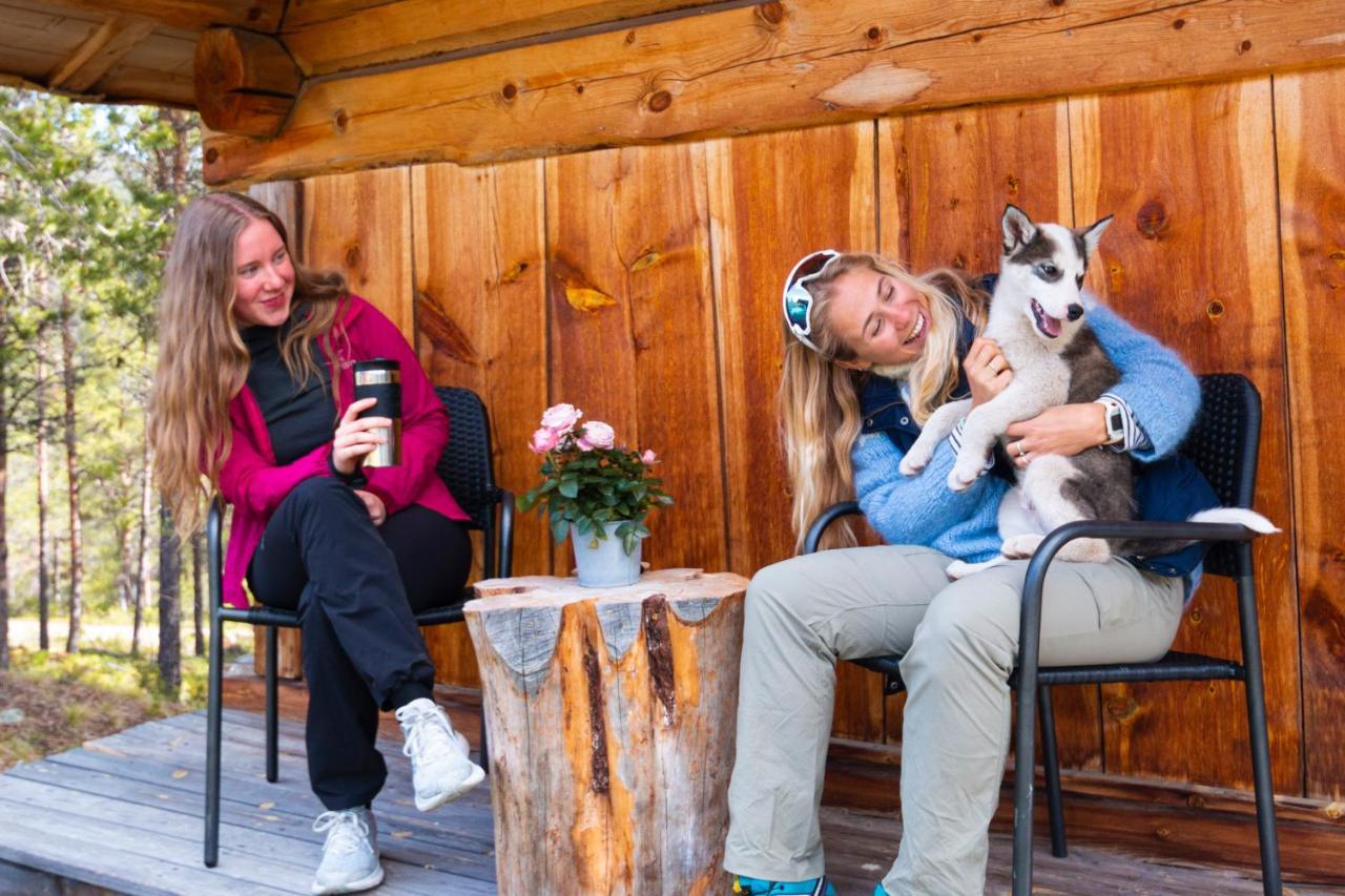 Jotunheimen Husky Lodge Randsverk Dış mekan fotoğraf