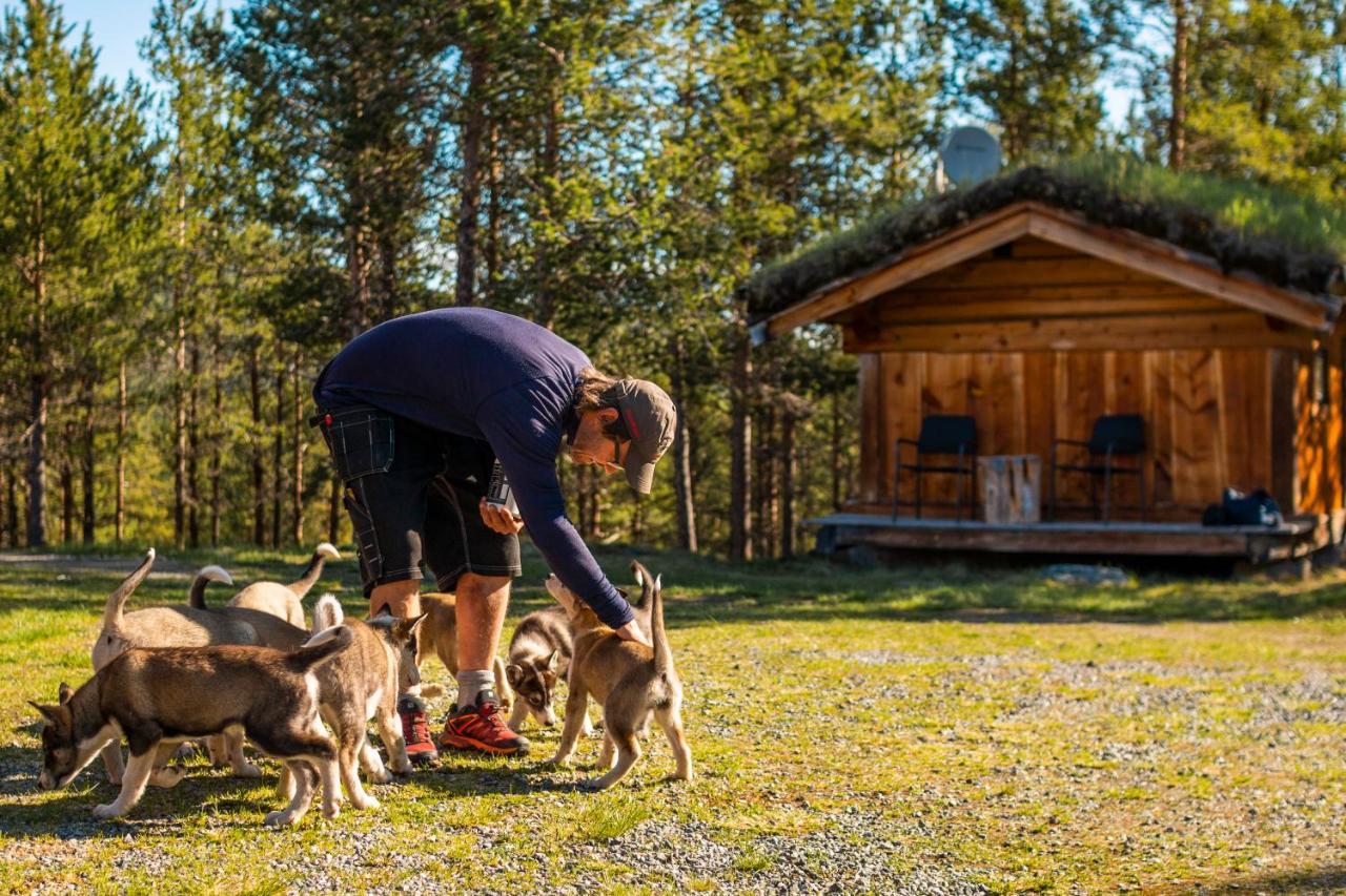Jotunheimen Husky Lodge Randsverk Dış mekan fotoğraf