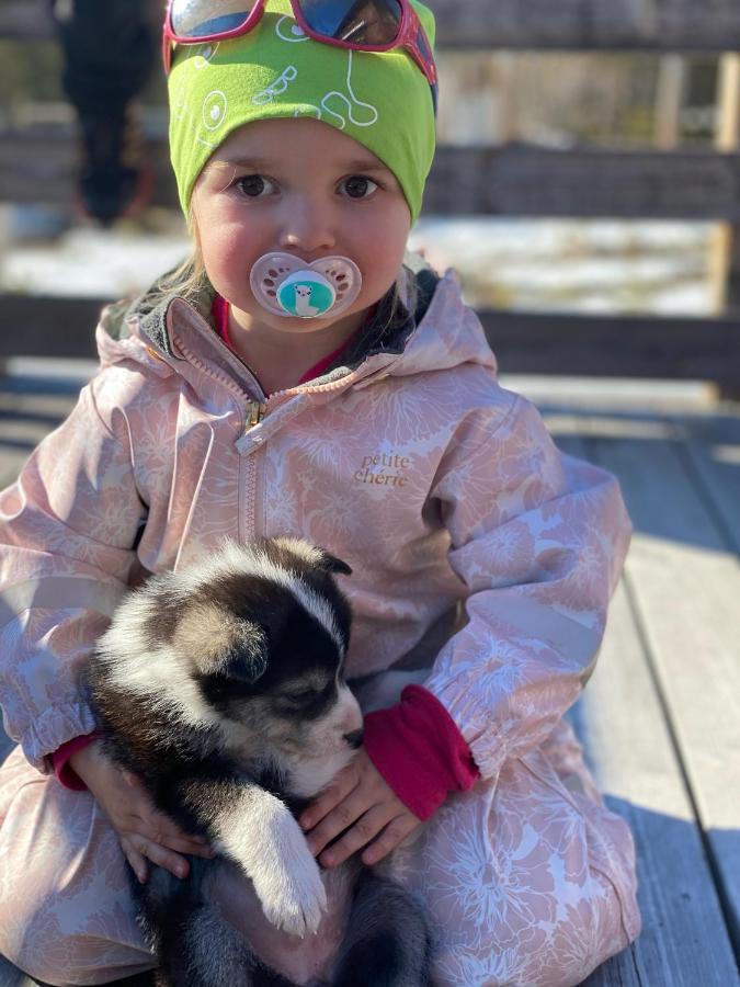 Jotunheimen Husky Lodge Randsverk Dış mekan fotoğraf