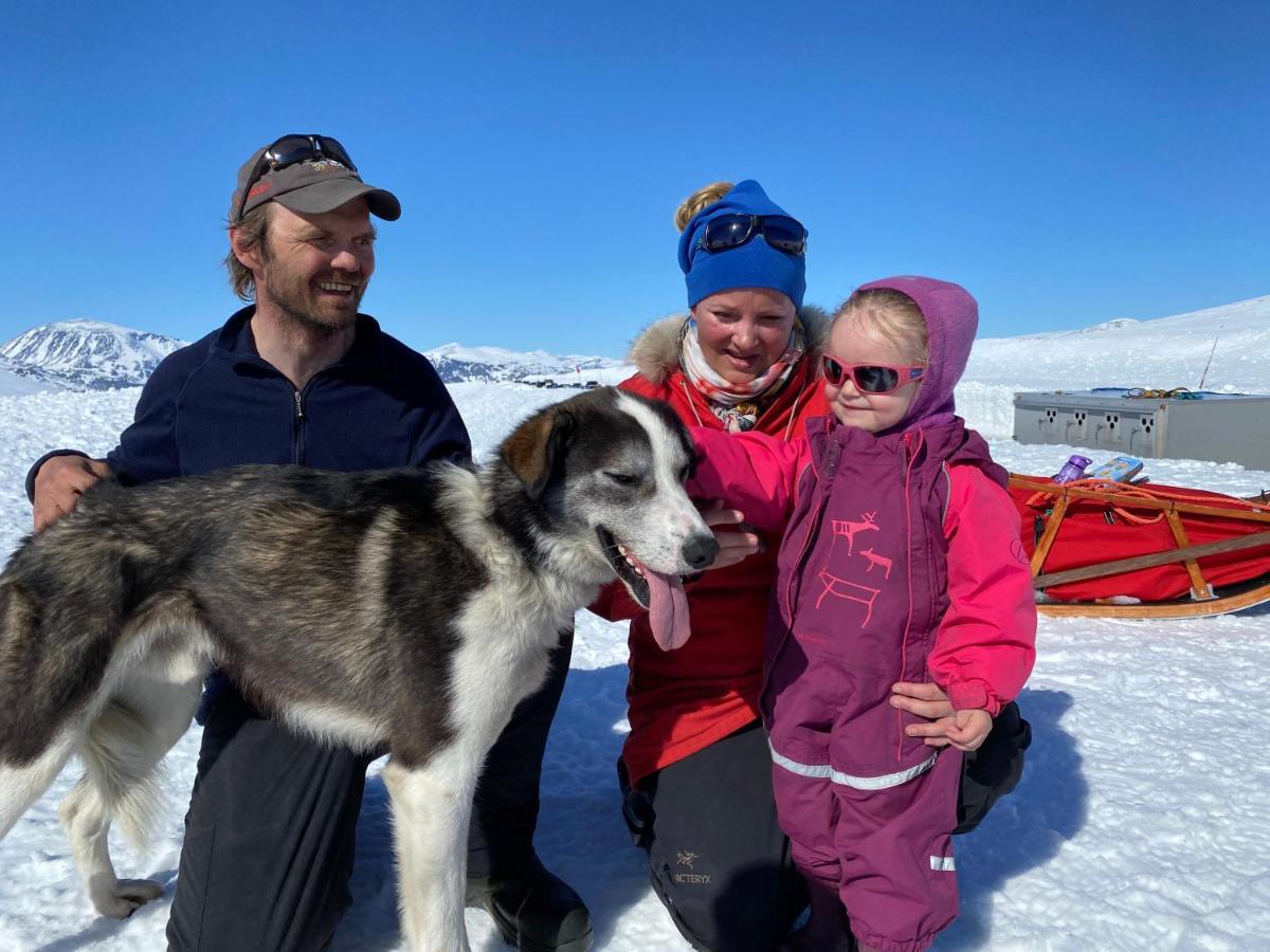 Jotunheimen Husky Lodge Randsverk Dış mekan fotoğraf